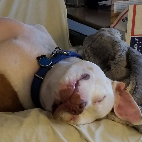 Meet your Posher, Chris - Picture 1 of 1